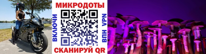 Псилоцибиновые грибы мухоморы ссылка на мегу маркетплейс Верещагино